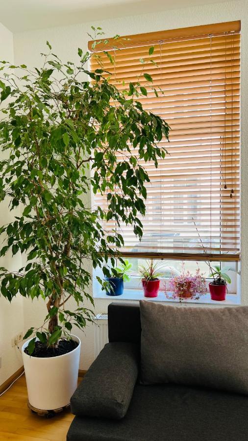 Grosses Und Helles Innenstadt Apartment - Ferienwohnung Bad Homburg vor der Höhe Esterno foto